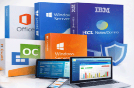 Поставка программного обеспечения